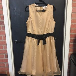 Gold tone tulle dress